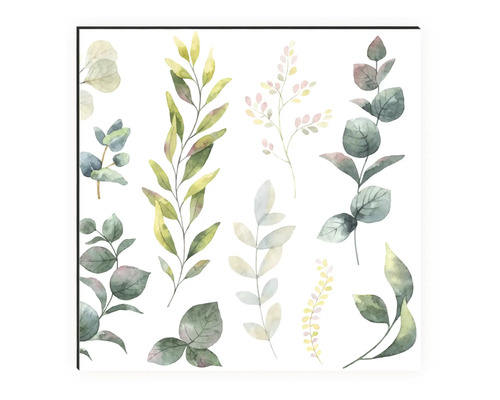 Ilustrație cu diverse frunze și ramuri