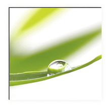 Imagine decorativă de perete cu o picătură de apă pe o frunză