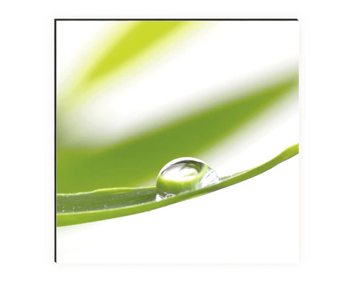 Imagine decorativă de perete cu o picătură de apă pe o frunză