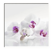 Imagine decorativă de perete cu motiv de orhidee