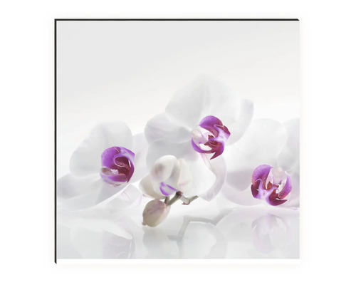 Imagine decorativă de perete cu motiv de orhidee