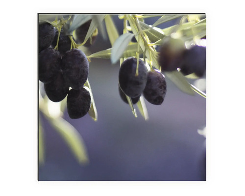 Prim-plan cu măsline în pom