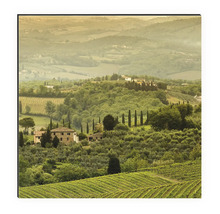Pictură a unui peisaj toscan cu podgorii și case