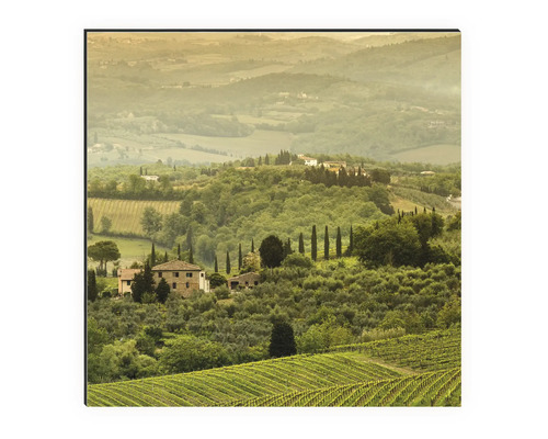 Pictură a unui peisaj toscan cu podgorii și case