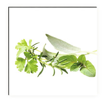 Diverse ierburi proaspete, cum ar fi pătrunjelul, rozmarinul, salvie și oregano