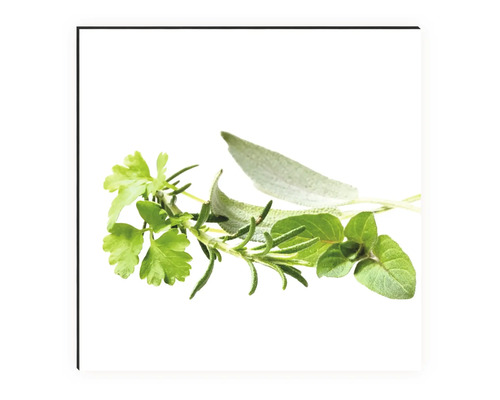 Diverse ierburi proaspete, cum ar fi pătrunjelul, rozmarinul, salvie și oregano