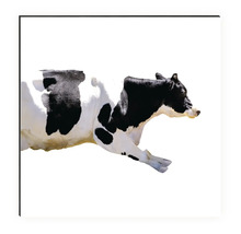 Imagine cu o vacă alb-negru în ramă