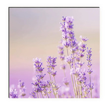 Artă decorativă de perete cu motiv de lavandă pentru interioare