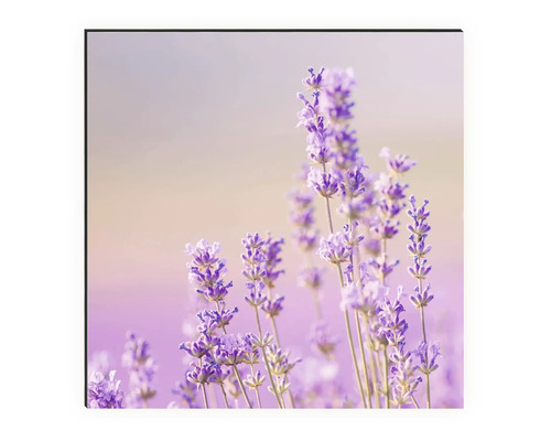 Artă decorativă de perete cu motiv de lavandă pentru interioare