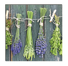 Tablou decorativ de perete cu buchete de plante aromatice pe o sfoară în fața scândurilor de lemn