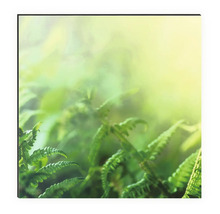 Prim-plan cu ferigi pe pânză