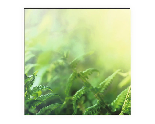 Prim-plan cu ferigi pe pânză