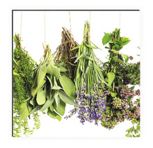 Mai multe legături de ierburi atârnă de o sfoară.