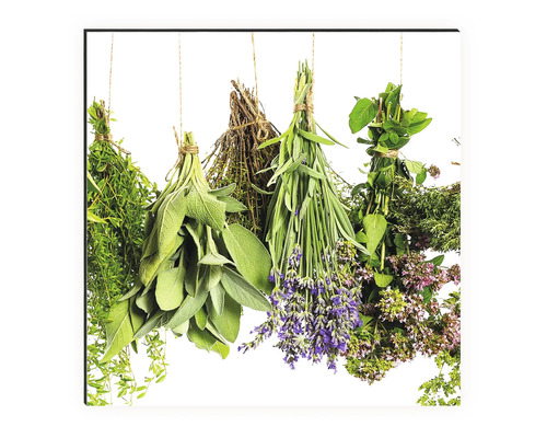 Mai multe legături de ierburi atârnă de o sfoară.