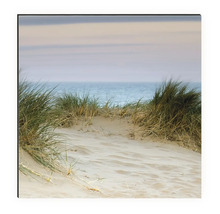 Tablou de perete cu o imagine cu nisip, iarbă și mare