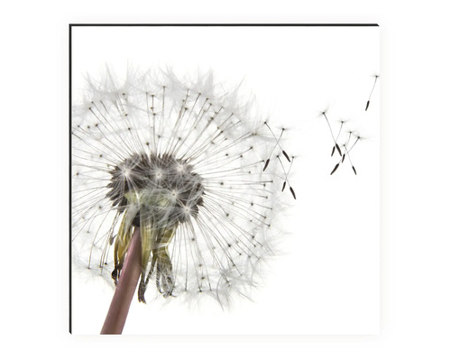 Imagine decorativă de perete cu păpădie în detaliu