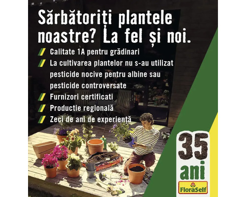 "O persoană plantează flori în ghivece pe o terasă