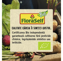 Bio FloraSelf Semințe salată rucola-thumb-2