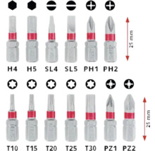 Sortiment de biți de șurubelniță diverși de 25 mm