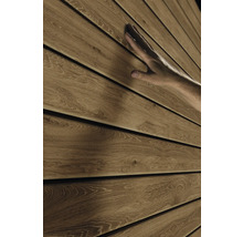 Fațadă din lemn cu textură palpabilă și mână