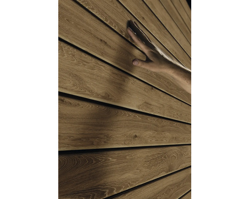 Fațadă din lemn cu textură palpabilă și mână