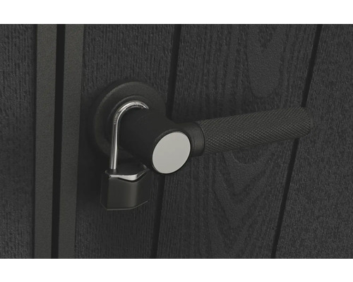 Ușă cu mâner și lacăt