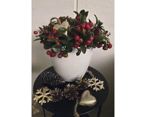 Decorație de Crăciun cu fructe de pădure, conuri de brad, pandantive în formă de inimă și ornamente de fulgi de zăpadă într-un ghiveci alb pe o măsuță laterală mică