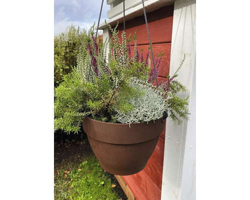 Jardinieră suspendată cu heather și plante verzi