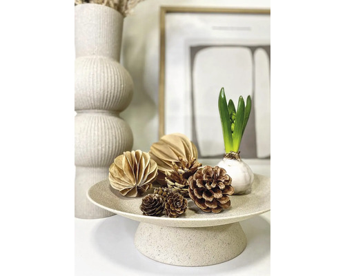 Tavă decorativă cu conuri de pin, ornamente de hârtie și o zambilă.