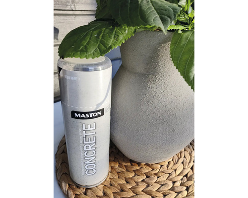 Spray Mastons Concrete Effect lângă un ghiveci cu plante verzi
