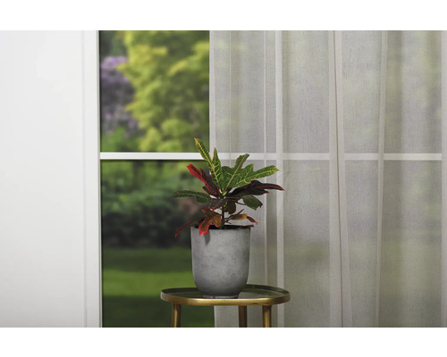 Plantă de apartament într-un ghiveci pe o măsuță în fața unei ferestre.