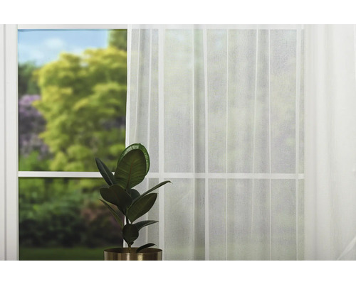 Scenă cu fereastră, perdea transparentă și plantă de interior