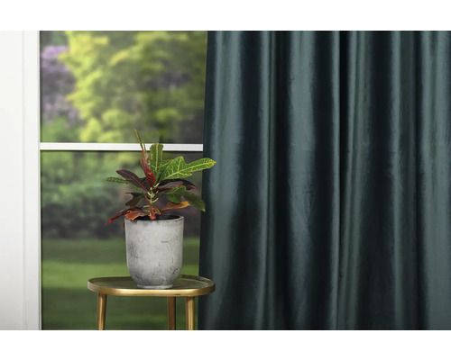 Aranjament decorativ cu plantă de apartament în ghiveci și perdea în fața ferestrei