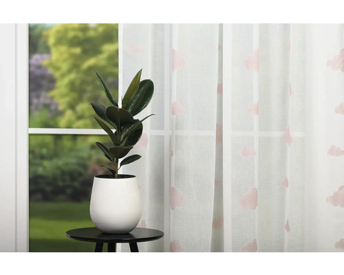 Atmosferă decorativă de locuit cu fereastră, perdea, ficus și masă