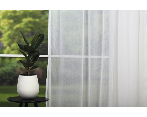 Plantă de interior în ghiveci pe o masă în fața unei ferestre cu perdea