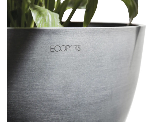 Ghiveci Ecopots cu plante