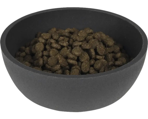 Castron cu hrană uscată pentru animale de companie