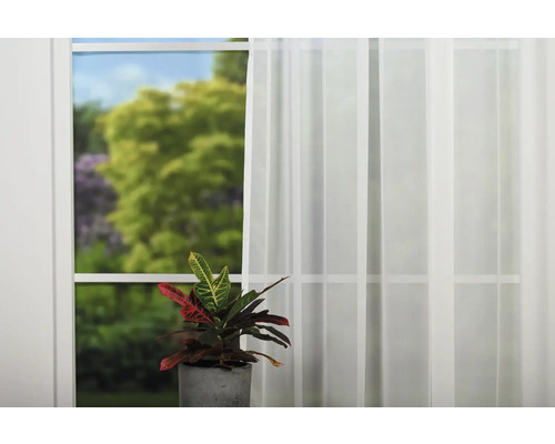 Scenă cu fereastră, perdea și plantă de apartament în ghiveci