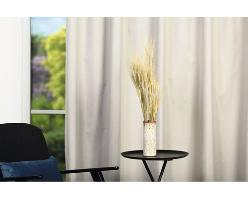 Spice decorative de grâu într-o vază pe o masă în sufragerie.