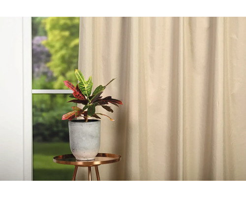 Plantă de apartament în ghiveci pe o măsuță laterală