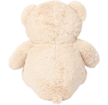 Vedere din spate a unui ursuleț de pluș