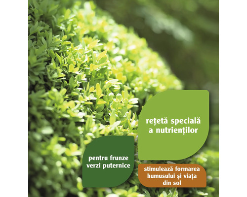 Rețetă specială de nutrienți pentru frunze verzi puternice, stimulează formarea humusului și viața din sol.