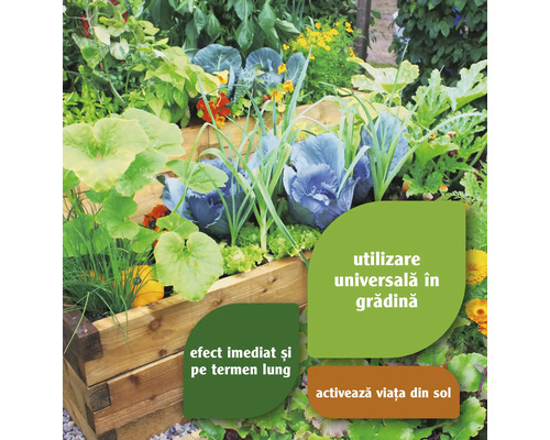 Jardinieră înaltă cu diverse legume și indicații pentru utilizare universală în grădină