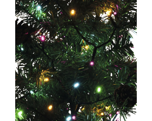 Ghirlandă luminoasă cu lumini colorate pe un pom de Crăciun