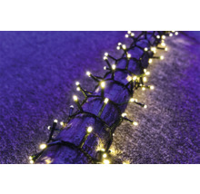 Ghirlandă luminoasă cu lumini strălucitoare înfășurată în jurul unei ramuri