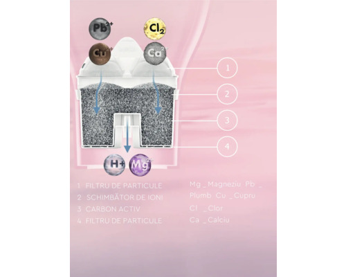 Diagramă schematică a unui element de filtru de apă cu faze de filtrare pentru îndepărtarea particulelor, pentru schimbul de ioni și filtrarea cu cărbune activ