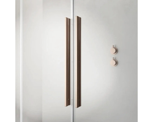 Ușă de duș cu mânere și armături