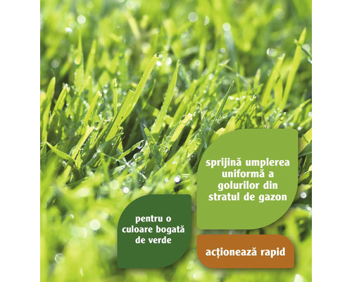 Prim-plan cu gazon cu picături de apă