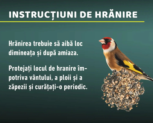 Instrucțiuni de hrănire cu sticlete pe glob de hrănire