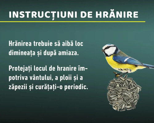 Instrucțiuni de hrănire pentru păsări, cu indicații despre orele recomandate și protejarea locului de hrănire.